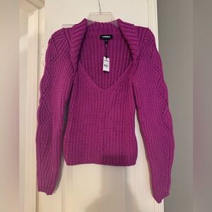 Express Women's V-Neck Knit Sweater in Vibrant Purple